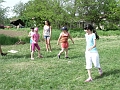 DSCF8754