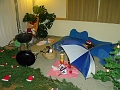 DSCF9870