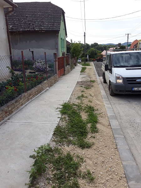20190722_090145.jpg